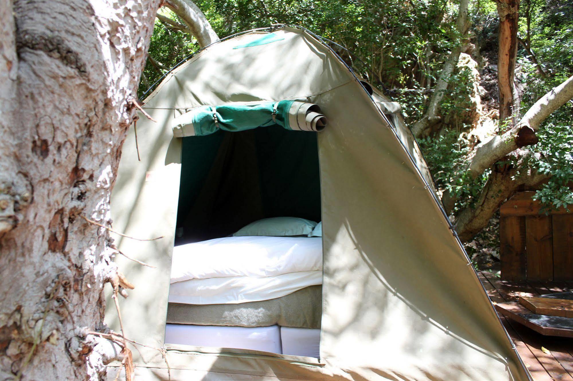 Sederkloof Lodge Studtis 外观 照片